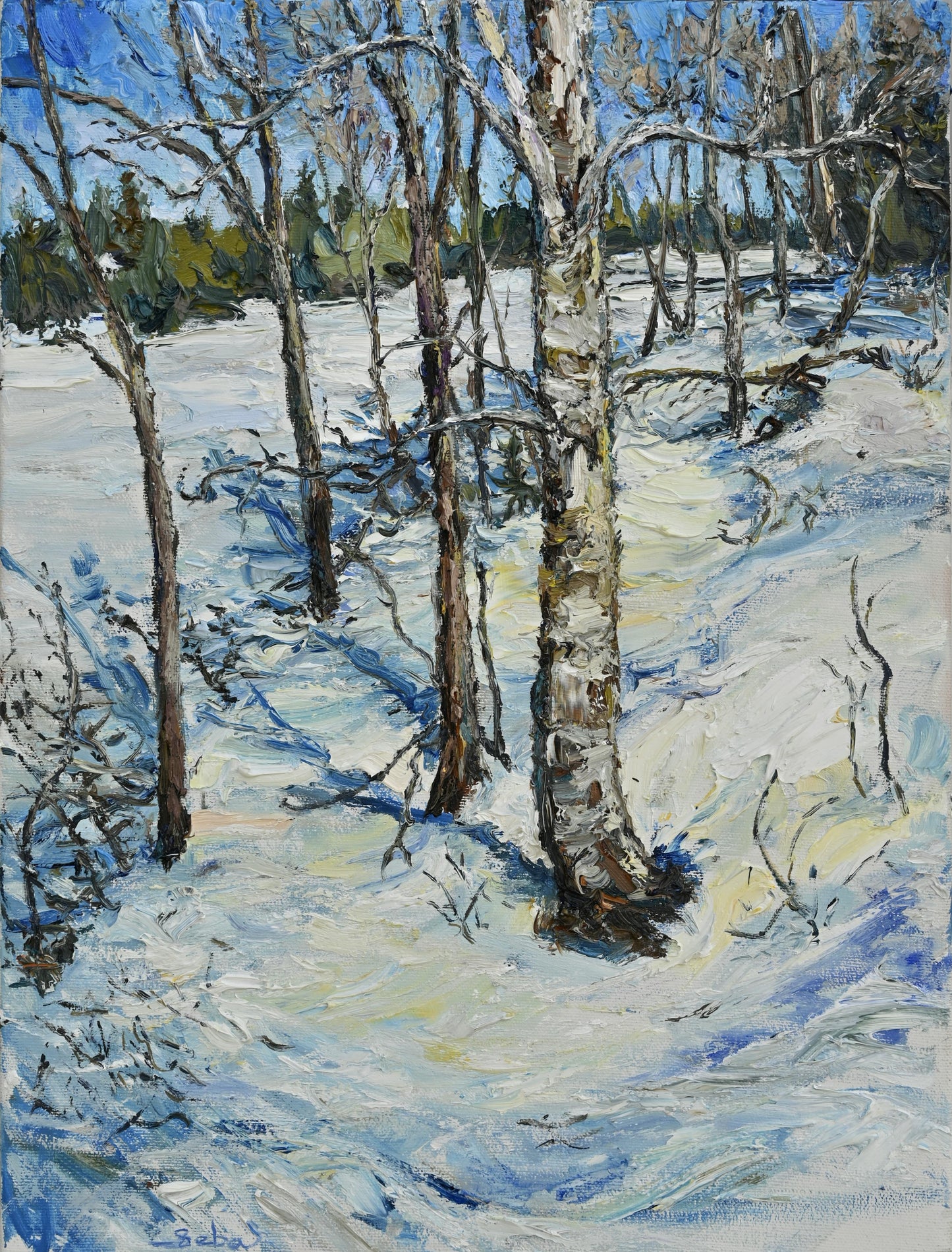 Lumière du printemps