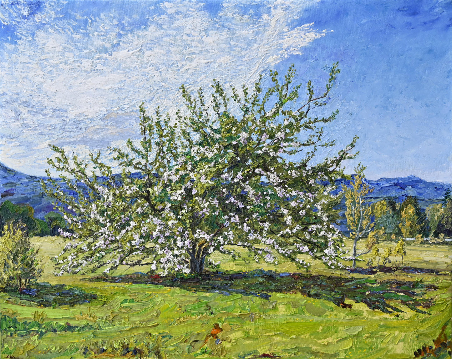 Floraison