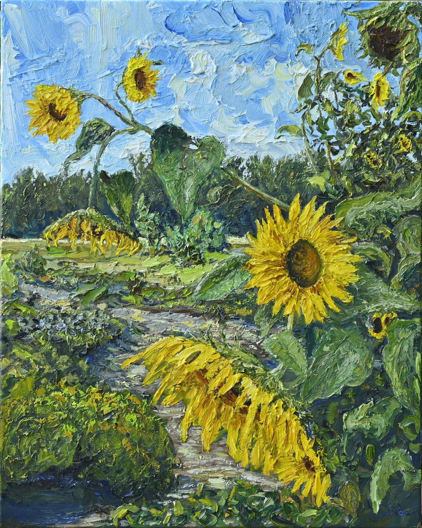 Le jardin d'Élisabeth