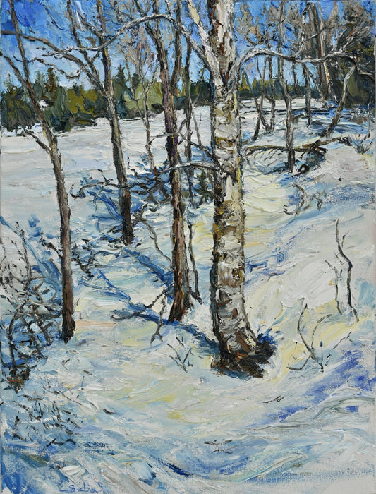 Lumière du printemps
