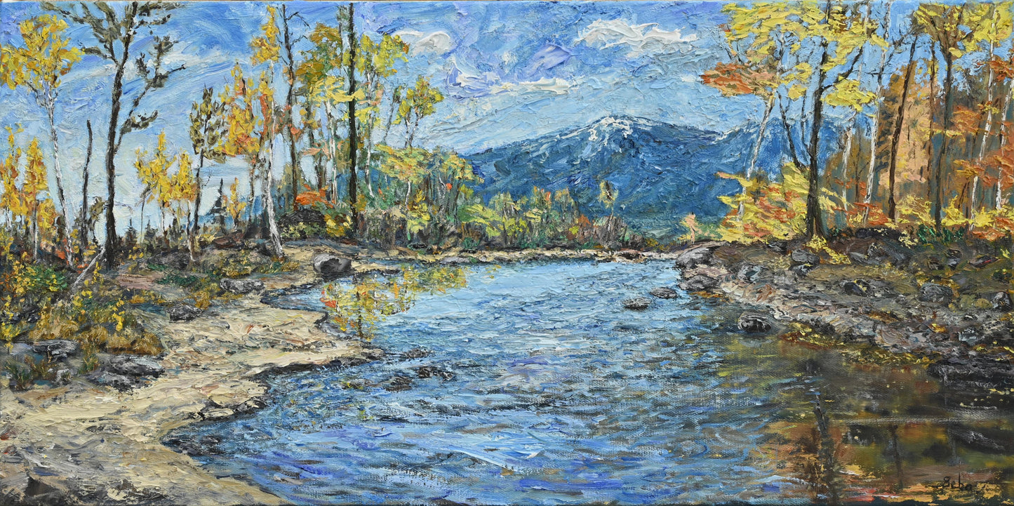 Avant la neige