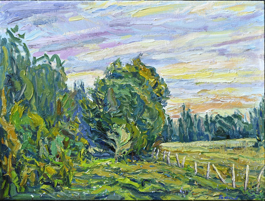 Quiétude d'un après-midi d'été