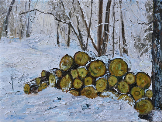 Les joies de l'hiver